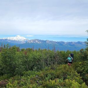 Meet your Posher, Elise